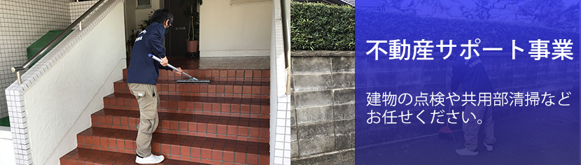 ���g���^ ������� ���z���T�[�r�X����